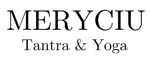 logoweb